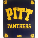 university of pittsburgh