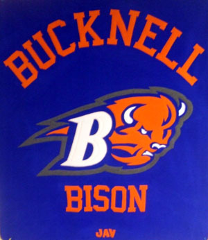 bucknell university fleece throw