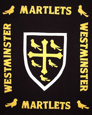 westminster academy fleece throw
